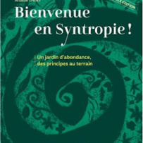 Welcome to Syntropy!